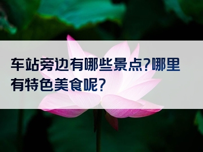 车站旁边有哪些景点？哪里有特色美食呢？