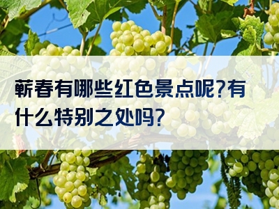 蕲春有哪些红色景点呢？有什么特别之处吗？