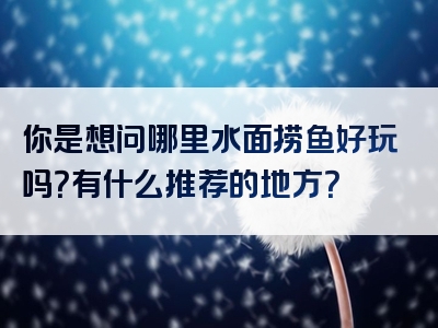 你是想问哪里水面捞鱼好玩吗？有什么推荐的地方？