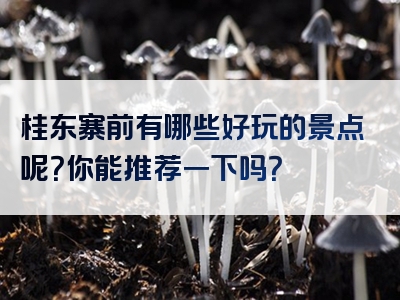 桂东寨前有哪些好玩的景点呢？你能推荐一下吗？