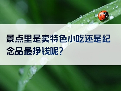 景点里是卖特色小吃还是纪念品最挣钱呢？