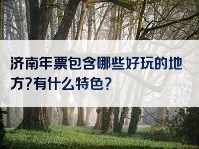 济南年票包含哪些好玩的地方？有什么特色？