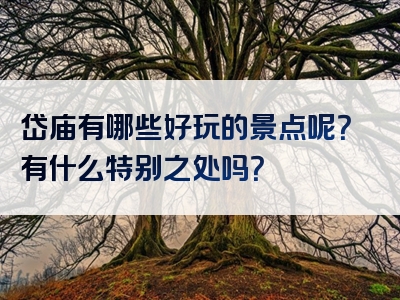 岱庙有哪些好玩的景点呢？有什么特别之处吗？