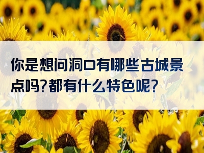 你是想问洞口有哪些古城景点吗？都有什么特色呢？