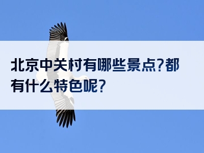 北京中关村有哪些景点？都有什么特色呢？