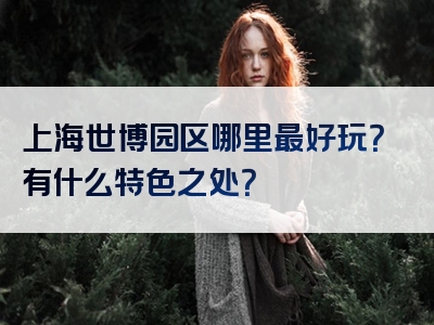 上海世博园区哪里最好玩？有什么特色之处？