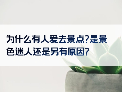 为什么有人爱去景点？是景色迷人还是另有原因？