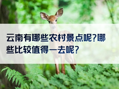 云南有哪些农村景点呢？哪些比较值得一去呢？