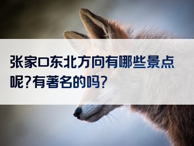 张家口东北方向有哪些景点呢？有著名的吗？