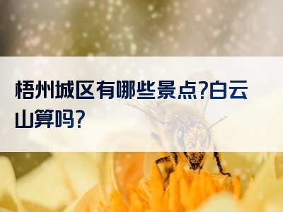 梧州城区有哪些景点？白云山算吗？