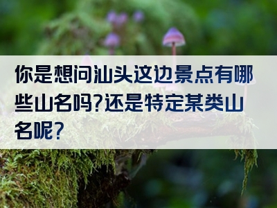 你是想问汕头这边景点有哪些山名吗？还是特定某类山名呢？