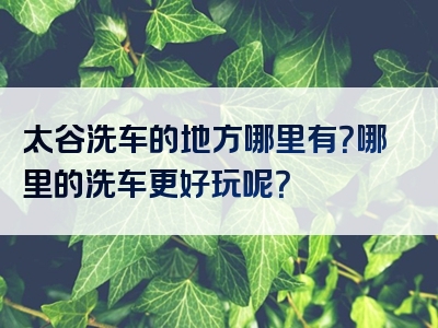 太谷洗车的地方哪里有？哪里的洗车更好玩呢？