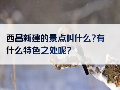 西昌新建的景点叫什么？有什么特色之处呢？