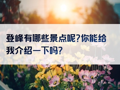 登峰有哪些景点呢？你能给我介绍一下吗？