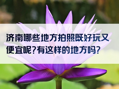 济南哪些地方拍照既好玩又便宜呢？有这样的地方吗？