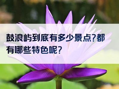鼓浪屿到底有多少景点？都有哪些特色呢？