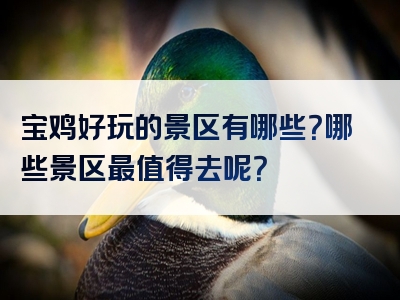 宝鸡好玩的景区有哪些?哪些景区最值得去呢?