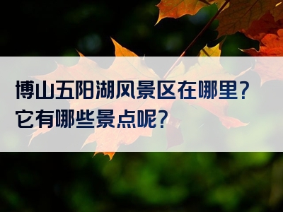 博山五阳湖风景区在哪里？它有哪些景点呢？