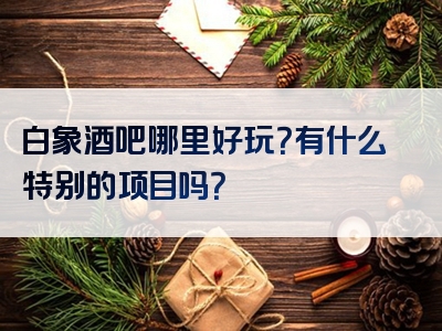 白象酒吧哪里好玩？有什么特别的项目吗？