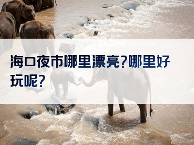 海口夜市哪里漂亮？哪里好玩呢？
