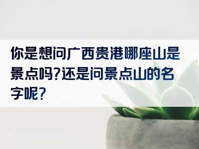 你是想问广西贵港哪座山是景点吗？还是问景点山的名字呢？