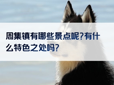 周集镇有哪些景点呢？有什么特色之处吗？