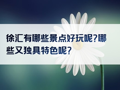 徐汇有哪些景点好玩呢？哪些又独具特色呢？