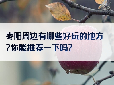 枣阳周边有哪些好玩的地方？你能推荐一下吗？