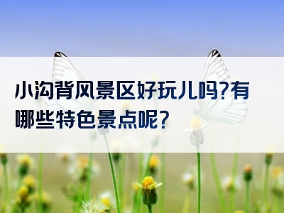 小沟背风景区好玩儿吗？有哪些特色景点呢？