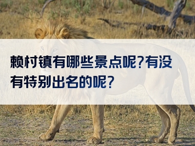 赖村镇有哪些景点呢？有没有特别出名的呢？