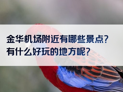 金华机场附近有哪些景点？有什么好玩的地方呢？