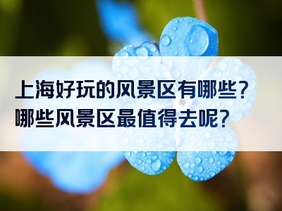 上海好玩的风景区有哪些？哪些风景区最值得去呢？