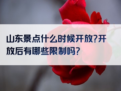 山东景点什么时候开放？开放后有哪些限制吗？