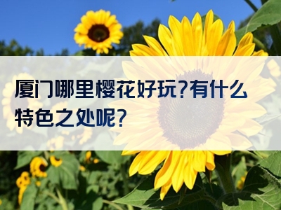 厦门哪里樱花好玩？有什么特色之处呢？