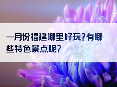 一月份福建哪里好玩？有哪些特色景点呢？