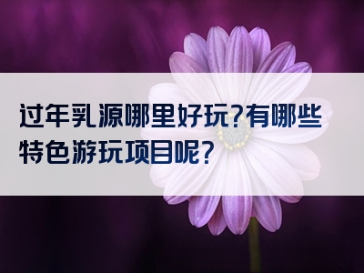 过年乳源哪里好玩？有哪些特色游玩项目呢？