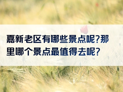 嘉新老区有哪些景点呢？那里哪个景点最值得去呢？