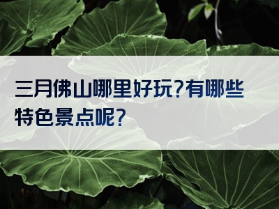 三月佛山哪里好玩？有哪些特色景点呢？