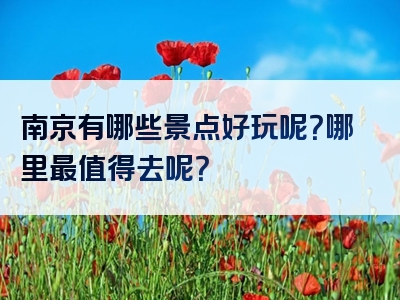 南京有哪些景点好玩呢？哪里最值得去呢？