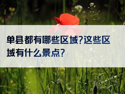 单县都有哪些区域？这些区域有什么景点？