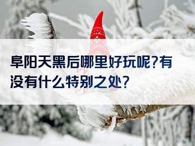 阜阳天黑后哪里好玩呢？有没有什么特别之处？