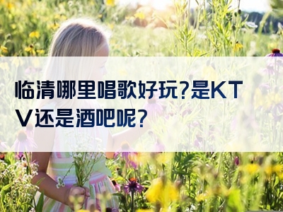 临清哪里唱歌好玩？是KTV还是酒吧呢？