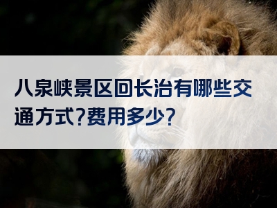 八泉峡景区回长治有哪些交通方式？费用多少？