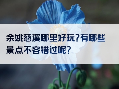 余姚慈溪哪里好玩？有哪些景点不容错过呢？