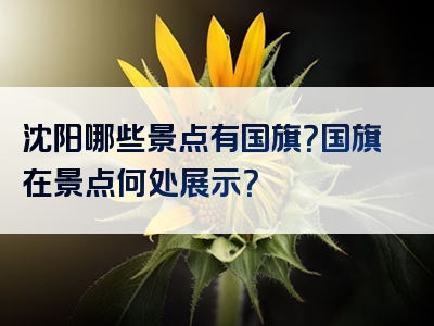 沈阳哪些景点有国旗？国旗在景点何处展示？
