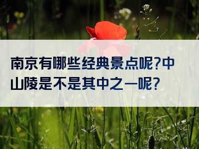 南京有哪些经典景点呢？中山陵是不是其中之一呢？