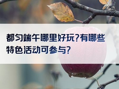都匀端午哪里好玩？有哪些特色活动可参与？