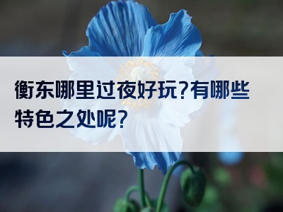 衡东哪里过夜好玩？有哪些特色之处呢？