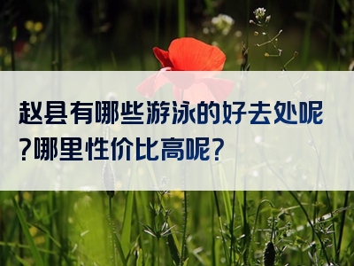 赵县有哪些游泳的好去处呢？哪里性价比高呢？