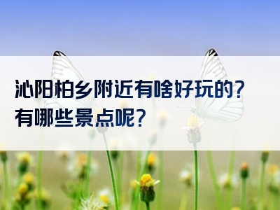 沁阳柏乡附近有啥好玩的？有哪些景点呢？